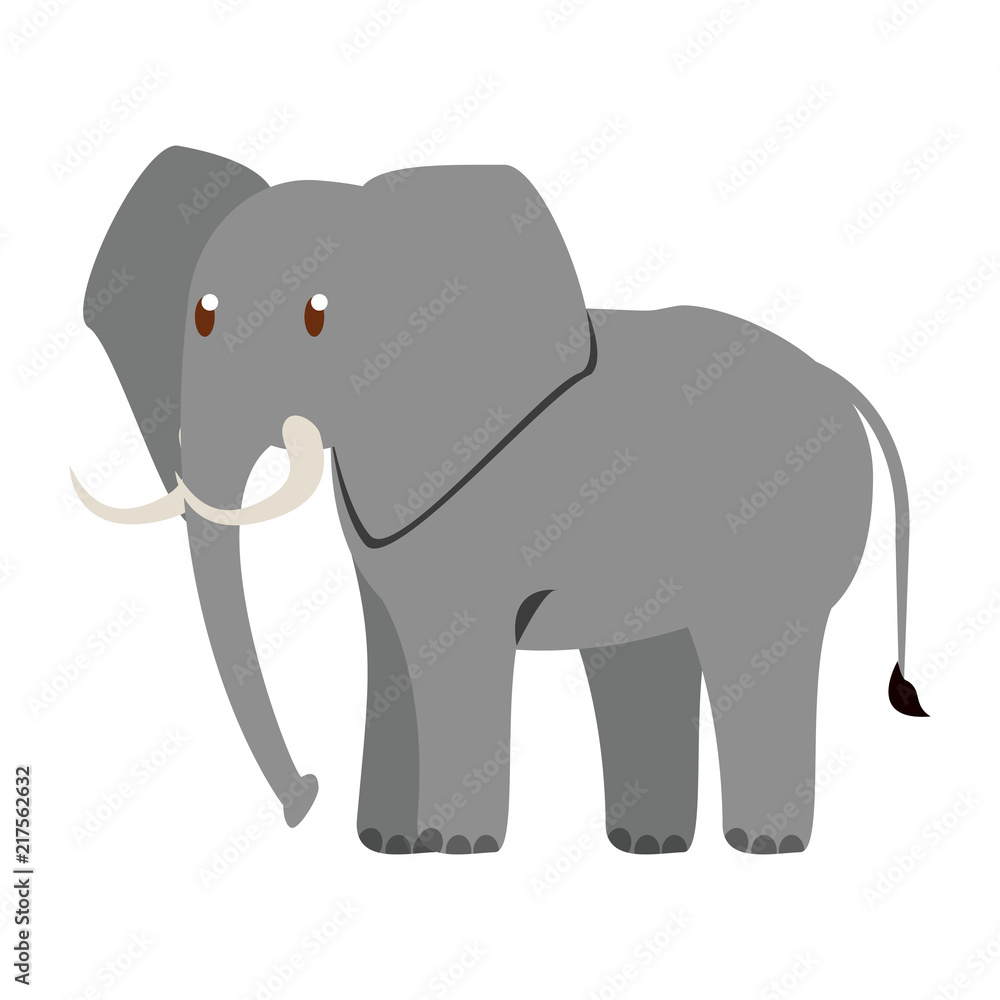 Elephant wild animal vector illustration graphic design