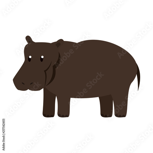 Hippo wild animal vector illustration graphic design