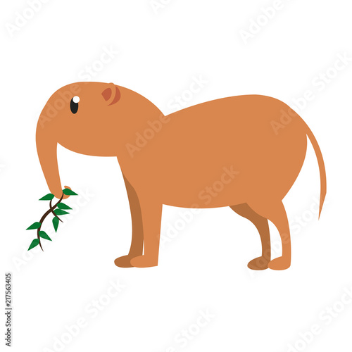 Anteater wild animal cartoon vector illustration graphic design