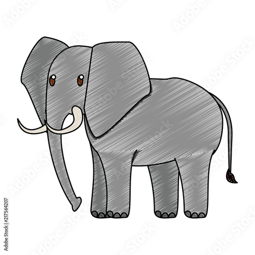 Elephant wild animal vector illustration graphic design