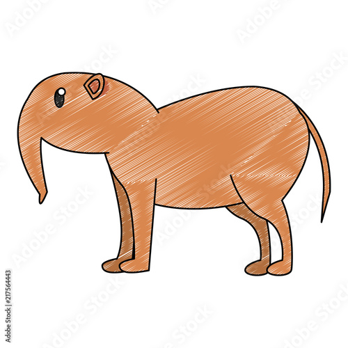 Anteater wild animal cartoon vector illustration graphic design