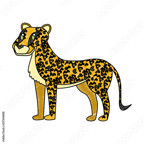 Leopard wild animal vector illustration graphic design