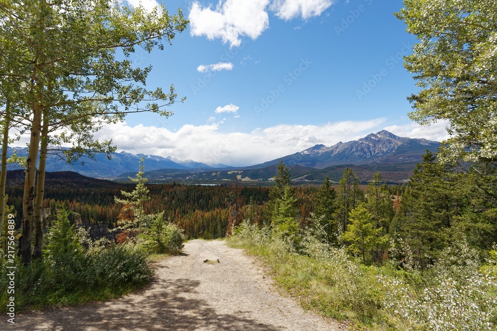 Obraz premium Maligne Lookout