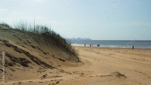Fototapeta Naklejka Na Ścianę i Meble -  walk along the sandy beach