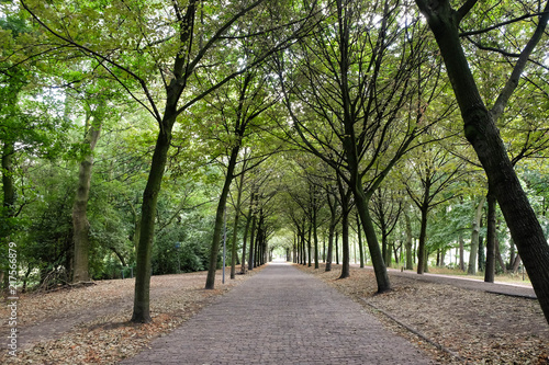 Het Park Rotterdam