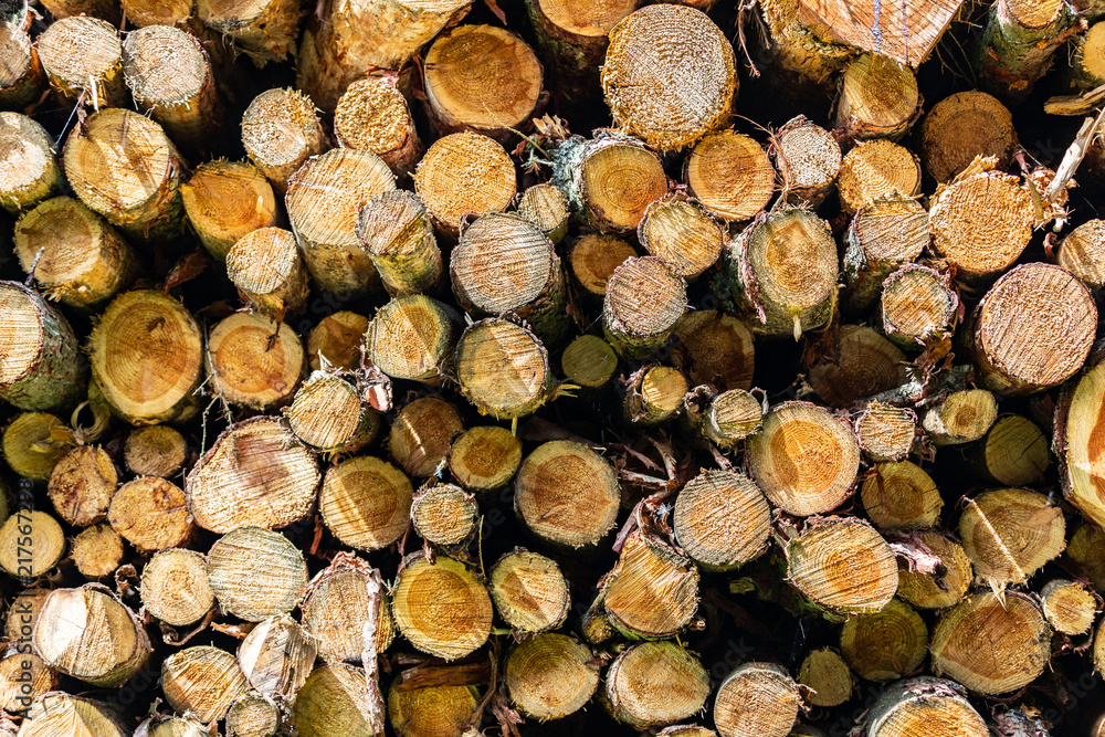 Wallpaper, background with a picture of pile of chopped fire wood Wallpaper, background with a picture of pile of chopped fire wood