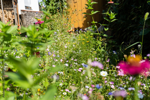 Beautiful meadow with a lot of different flowers and blossoms