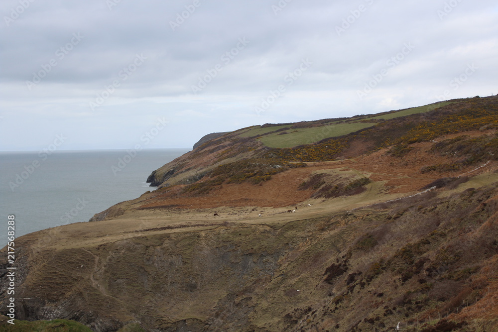 Coastaline Landscape Coastaline Landscape