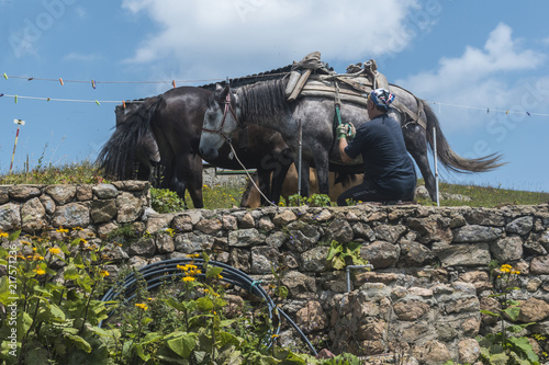 Man with his mountain horses at Eho hut. The horses serve to transport supplies from and to the hut.