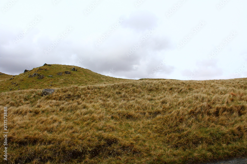 Nature Landscape Nature Landscape
