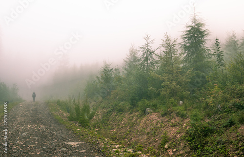 Walking person through the fog in the forest, Carpathian mountains  © Наталия Федоришин