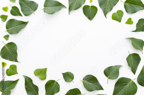 Floral frame made of green leaves on white background. Flat lay  top view. Copy space for hand lettering  text.