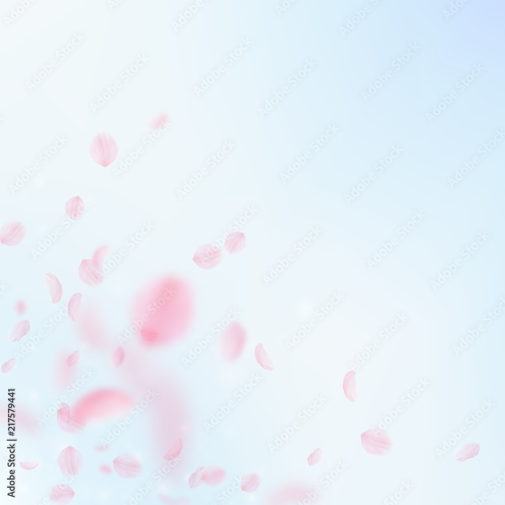 Sakura petals falling down. Romantic pink flowers corner. Flying petals on blue sky square backgroun
