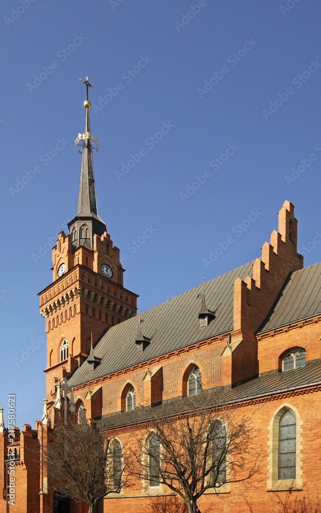 Cathedral of Nativity of Virgin Mary in Tarnow. Poland