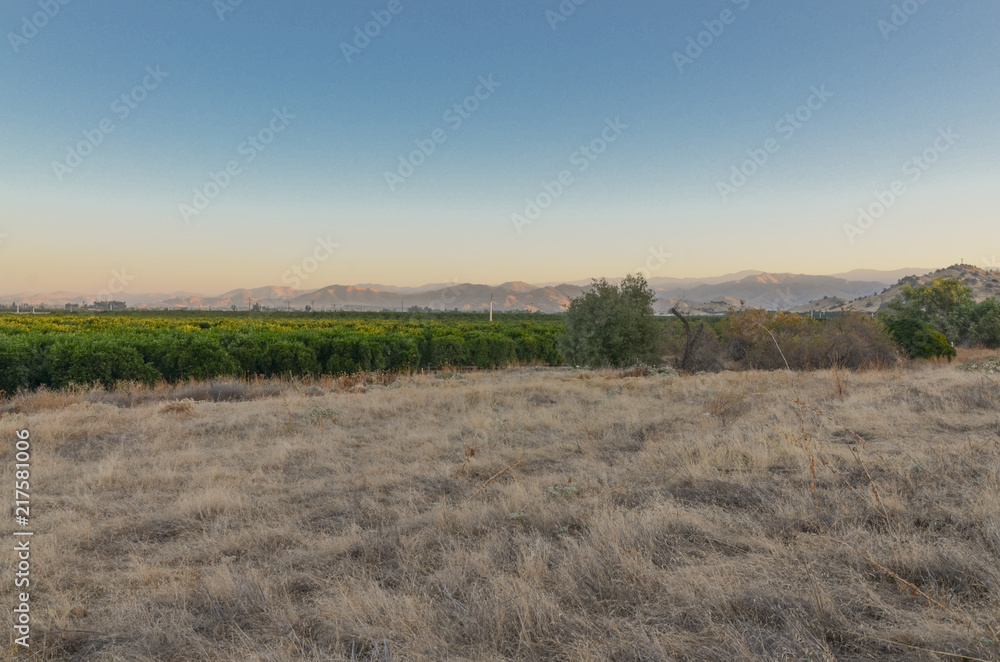 orhards and farming lands surrounded by hills in San Joaquin valley Tulare county, California, USA