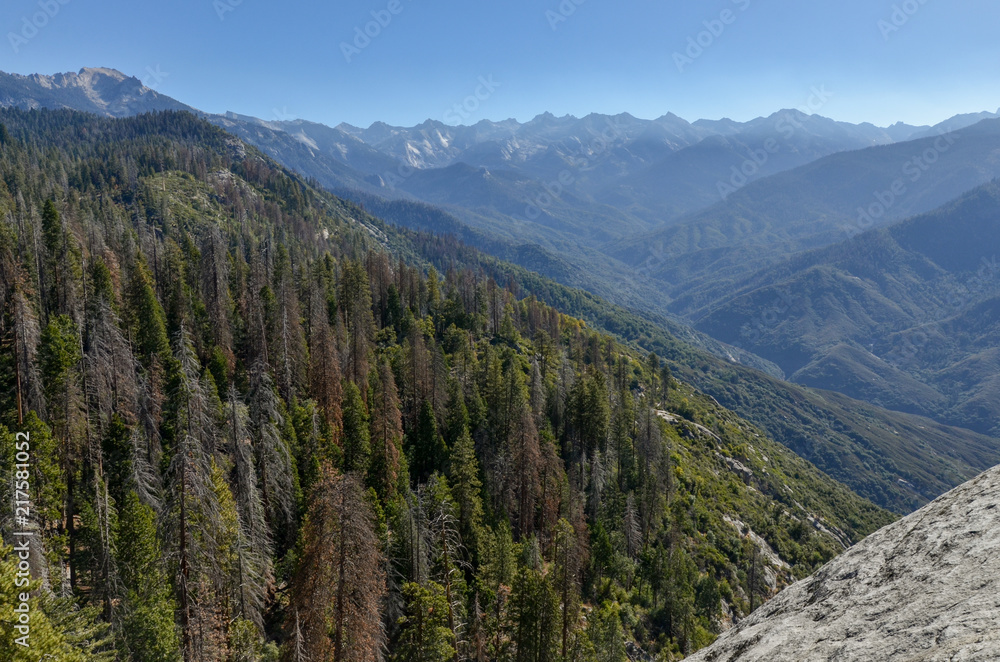 view of Giant Forest, peaks of High Sierra and Middle Fork Kaweah River from Moro Rock trail Sequoia National Park, California, USA