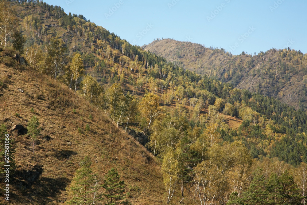 Landscape near Chemal village. Altai Republic. Russia
