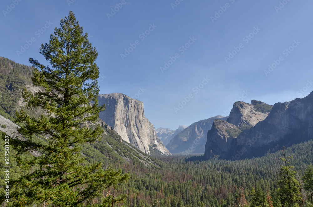 panorama of Yosemite valley, framed by granite monoliths of El Capitan and Half Dome  Tunnel View, Wawona road, California