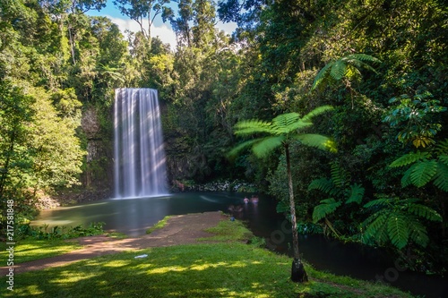 Millaa Milla Falls in the summer in Queensland, Australia, long exposure photo
