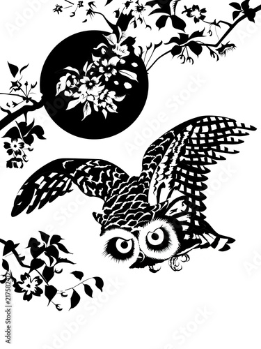 Chouette volant au printemps en noir et blanc