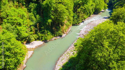 Drone view of the Sochi river gorge with dense forest in sunny summer day, Russia 