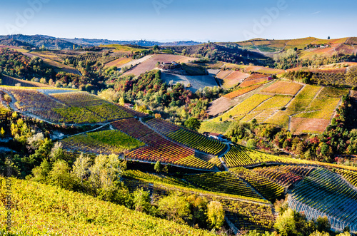 A breathtaking view of the Piedmont hills in the Langhe during the autumn, while a warm afternoon sun shines on the vines photo