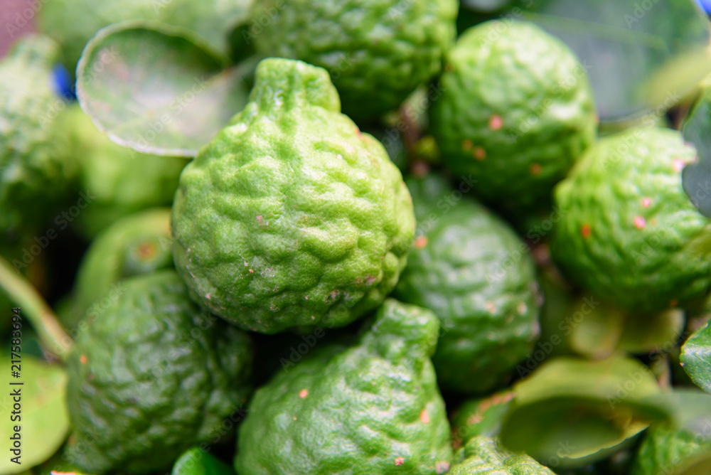 Fototapeta premium Fresh green bergamot 