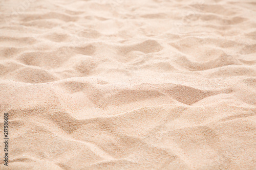 Empty tropical beach and sand background with copy space
