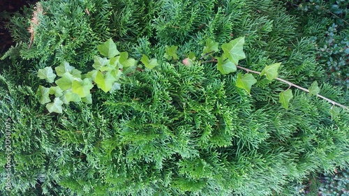 nature 2018