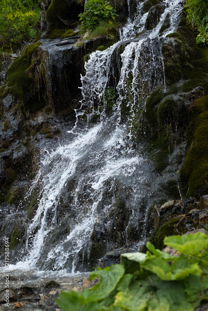 Fototapeta premium Bach mit Wasserfall