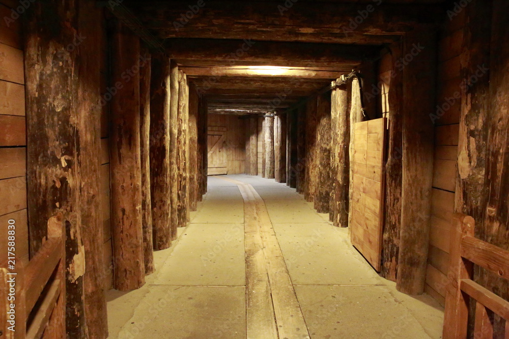 Miniere di sale Wieliczka in Polonia