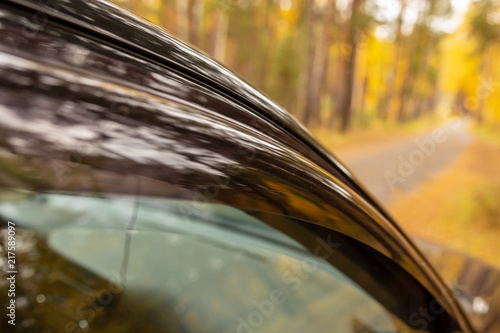 Black car on the road in the forest in autumn