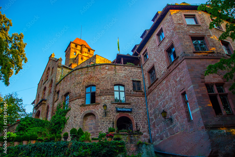 Obraz premium Castle Berwartstein near Dahn in Germany, Rhineland-Palatinate in the golden hour on a sunny day