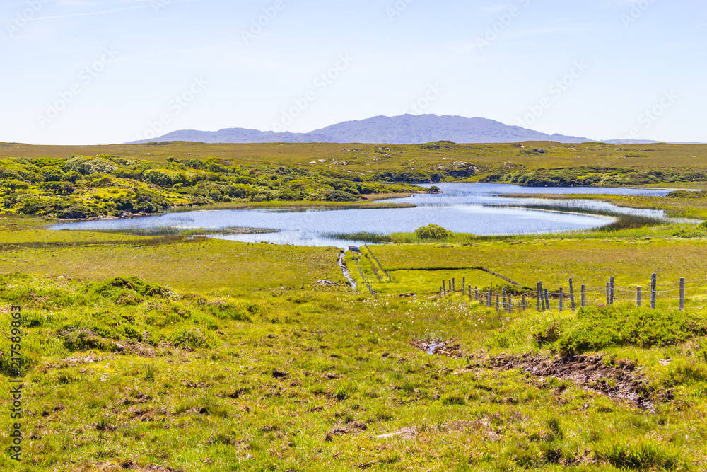 Farm with bog, lake and mountains and vegetation in Clifden