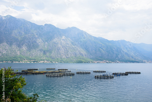 a sea-shell farm overlooking the mountains and the sea