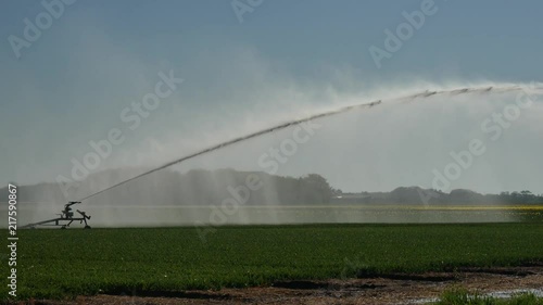 Irrigazione dei campi in agricoltura