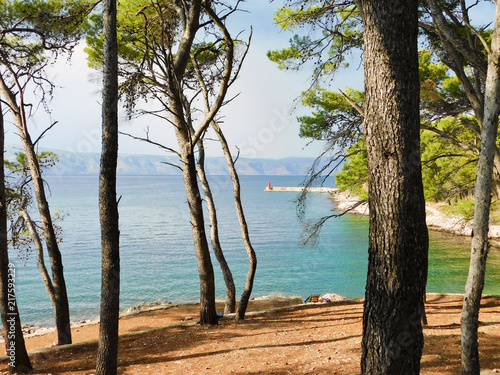 The coast of Hvar, a Croatian island with a pine forest and azure sea