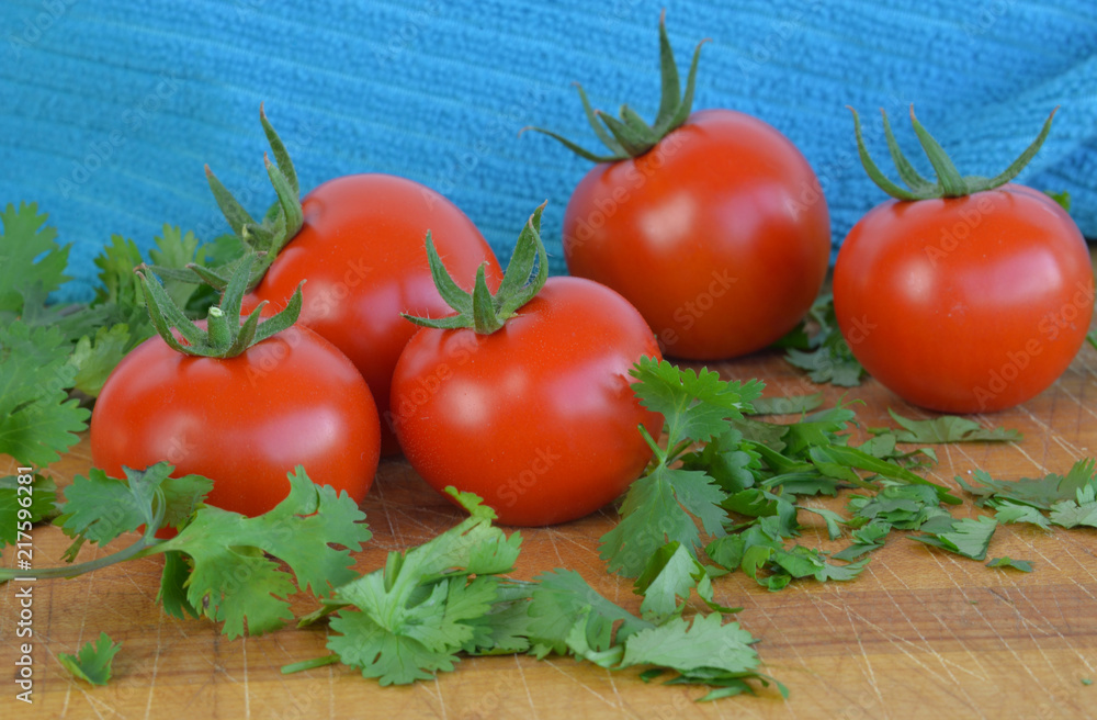 fresh ripe tomatoes and cilantro on cutting board fresh ripe tomatoes and cilantro on cutting board