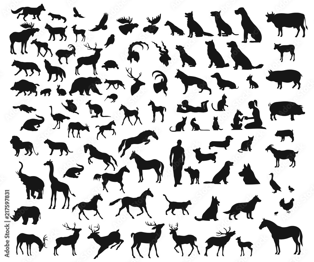 Vector big set of different wild and domesticated animals on white background