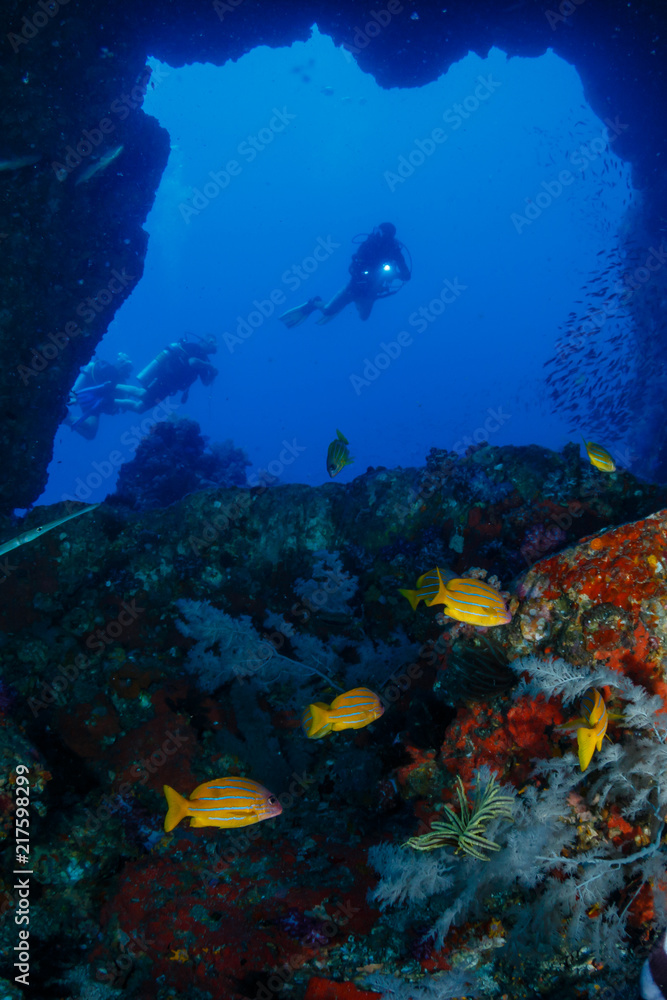 Fototapeta premium SCUBA divers exploring an underwater swim through and tropical coral reef as Western Rocky, Mergui Archipelago, Myanmar