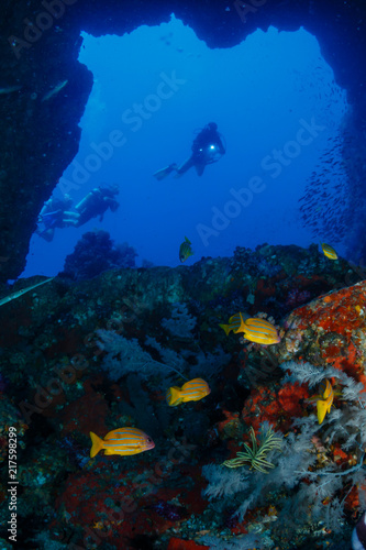 SCUBA divers exploring an underwater swim through and tropical coral reef as Western Rocky  Mergui Archipelago  Myanmar