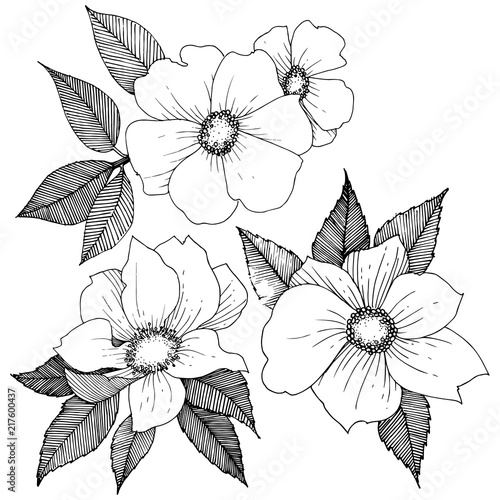 Wild rose in a vector style isolated. Full name of the plant: rose. Vector flower for background, texture, wrapper pattern, frame or border.