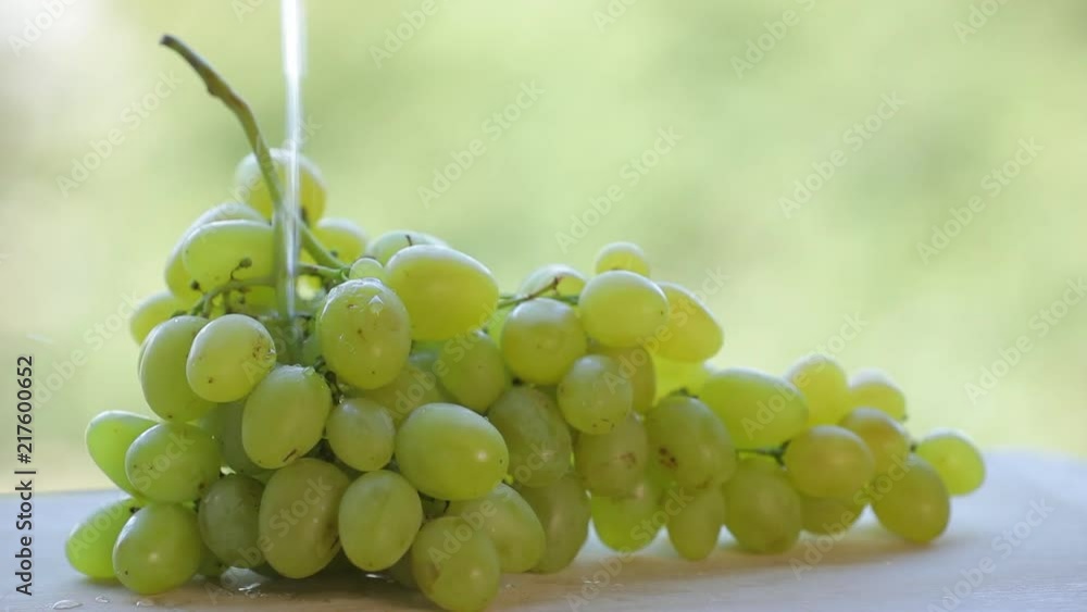 Pouring water on a fresh green grapes in slowmotion slower at 2.5x Pouring water on a fresh green grapes in slowmotion slower at 2.5x