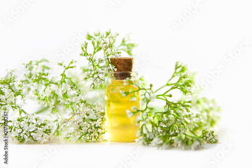 Essence of flowers on table in beautiful glass jar