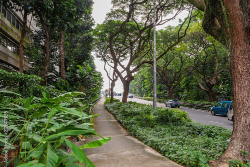 Trees grow along the street with car traffic. Singapore. © Konstantin Aksenov