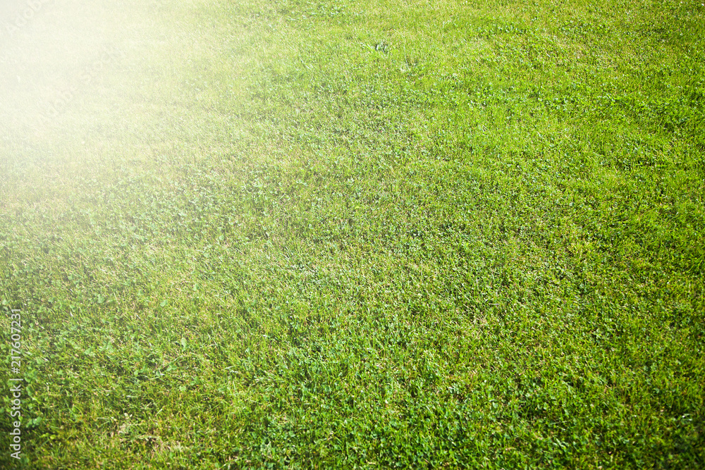 the background of the soccer field. green grass with a beam of light in the corner