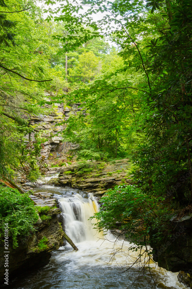 Waterfall and Stream Rushing Through Gorge In Forest Waterfall and Stream Rushing Through Gorge In Forest