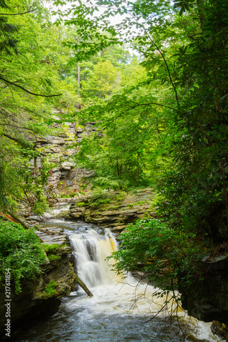 Waterfall and Stream Rushing Through Gorge In Forest