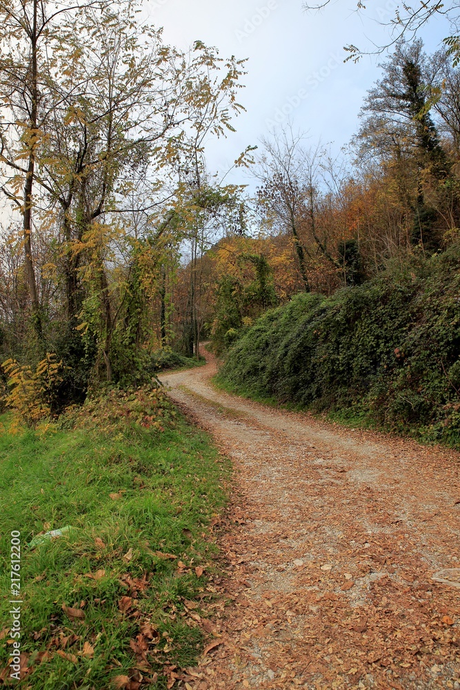 Panorame strada modenese