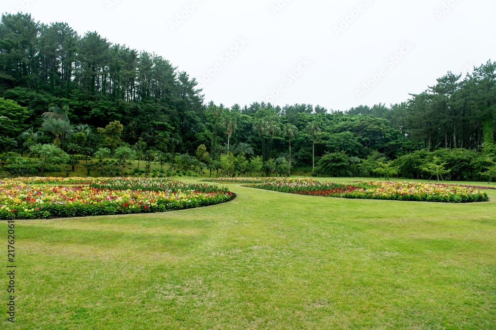 Fototapeta premium 円形花壇のある公園